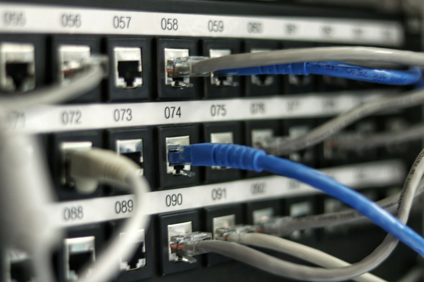 Netzwerkverteiler mit blauen Patchkabeln